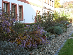 Blick in den Garten der Bibelpflanzen im Kloster St. Marienthal