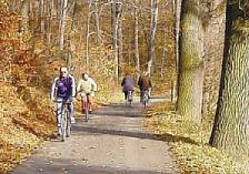 (Rad-)Wanderweg entlang der Neiße - auf dem Teilstück vom Oder-Neiße-Radweg