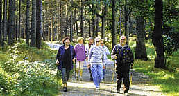 Wanderungen entlang der ausgebauten Wanderwege