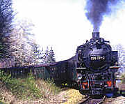 mit der dampfbetriebenen Schmalspurbahn durchs Zittauer Gebirge