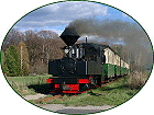 zur Homepage der Waldeisenbahn Muskau