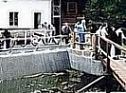 unsere Wasserkraftanlage zur Energieerzeugung der Kloster St. Marienthal Wirtschaftsverwaltungs GmbH